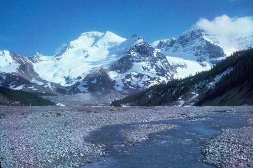 Athabaska Glacier Outwash Plain